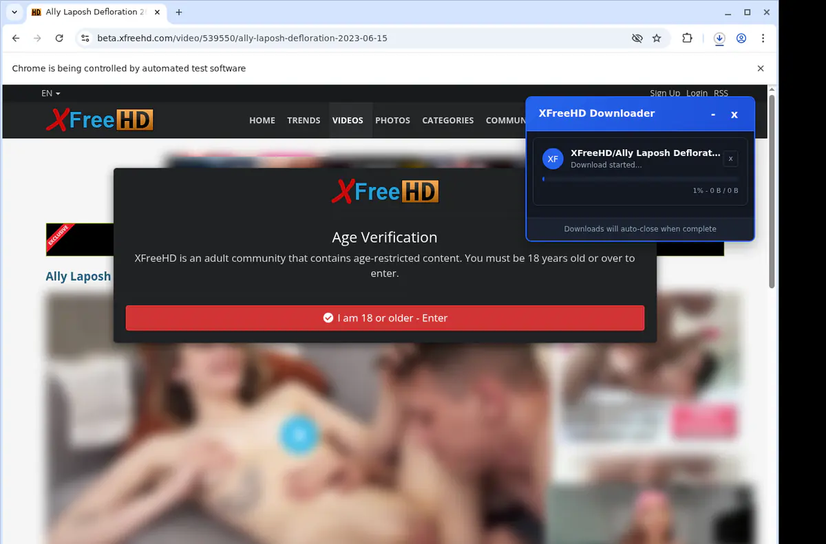 XFreeHD Video Downloader screenshot 2